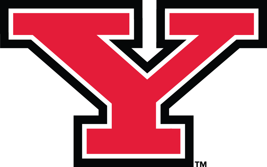 Youngstown State Penguins T shirt DIY iron-ons